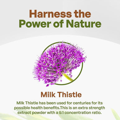 Go Nutra Milk Thistle Powder 1 Lb. Milk Thistle Extract 5:1 Strength Silymarin Silybum Marianum Herbal Supplement Non-Gmo
