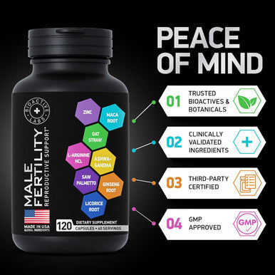 Fertility Supplements For Men - Advanced Fertility Blend For Men With Zinc, Maca, Ashwagandha, L-Arginine - Conception Fertility Prenatal Vitamins And Male Fertility Support Supplement - 120 Pills