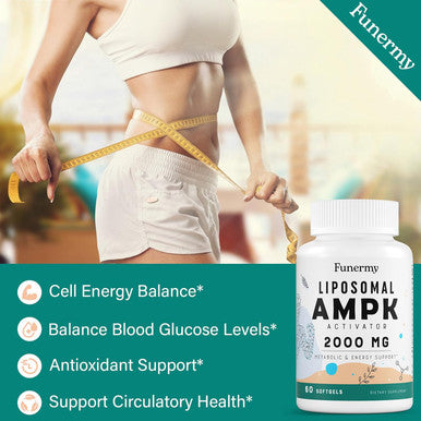 Liposomal Ampk Activator 2000 Mg - High Bioavailability Berberine Hcl,Dim,Milk Thistle,And Cinnamon Bark Capsule 6-In-1 Ampk Supplements For Antioxidant Support And Cellular Regulation, 60 Softgels