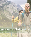 PURE ORIGINAL INGREDIENTS Gymnema Sylvestre, (100 Capsules), Always Pure, No Additives Or Fillers, Lab Verified