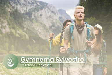 PURE ORIGINAL INGREDIENTS Gymnema Sylvestre, (100 Capsules), Always Pure, No Additives Or Fillers, Lab Verified
