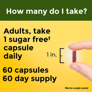 Nature Made Cranberry Supplement 500Mg With Vitamin C For Immune & Antioxidant Support Cranberry Blend For Urinary Tract Health One Per Day 60 Capsules