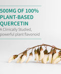 Garden of Life Quercetin Once Daily Immune System Support Supplement With Vitamin C D & Probiotics Dr Formulated Immune Health Respiratory Health Skin Health Gluten Free Non Gmo 30 Tablets
