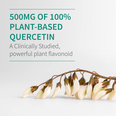 Garden of Life Quercetin Once Daily Immune System Support Supplement With Vitamin C D & Probiotics Dr Formulated Immune Health Respiratory Health Skin Health Gluten Free Non Gmo 30 Tablets