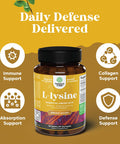 L Lysine 1000Mg Form - High Strength L-Lysine Supplement For Eye Health Lip Care Collagen Synthesis And Immune Support - Essential Amino Acid Vegan Non-Gmo 1000Mg Per Serving - 100 Tablets