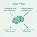 True Grace Mushroom Lion's Mane Brain Nerve & Cognitive Support - 120 Count Capsules - Organic