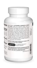 Source s Glucosamine Chondroitin Complex With MSM - 120 Tablets