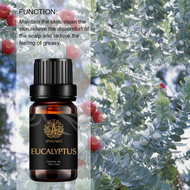 Aromatherapy Essential Oils, Eucalyptus Aromatherapy Essential Oils (0.33 oz - 10ml), 100% Pure Essential Oils Eucalyptus Scent for Diffuser, Humidifier, Massage, Aromatherapy, Skin & Hair Care