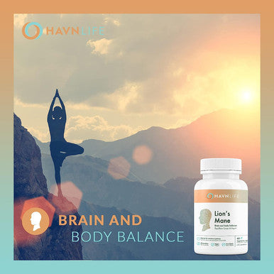 HAVN LIFE Lion's Mane | Pure Lion's Mane Mushroom Extract | Support Immune system, Mental Clarity, Memory and Cognitive Health | Antioxidant supplement | Non-GMO - 60 Vegan Capsules