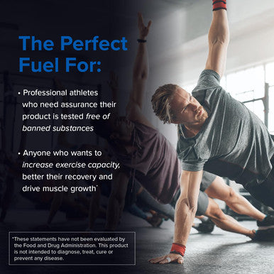 Designs for Sport Micronized Creatine Monohydrate Unflavored Powder - NSF Certified for Sport 90 Servings Supports Muscle Recovery Brain Health Pre and Post Workout Strength