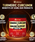Turmeric Curcumin & Immune Support, 95% Curcuminoids, Equivalent to 14000mg, with Ginger, Garlic Bulb, Elderberry, Quercetin, Joint Inflammatory & Absorption Support, Immune Defense Supplement.