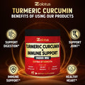 Turmeric Curcumin & Immune Support, 95% Curcuminoids, Equivalent to 14000mg, with Ginger, Garlic Bulb, Elderberry, Quercetin, Joint Inflammatory & Absorption Support, Immune Defense Supplement.