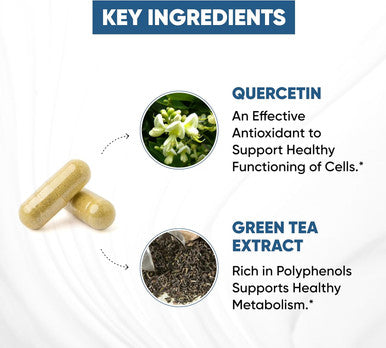 Sandhu'S Zinc Supplement With Ionophores Quercetin & Green Tea Extract For Superior Absorption And High Potency 800Mg Vegetarian Capsules 30 Days Supply Immune Support For Men & Women Made In Usa