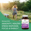 PURE ESSENCE LABS One N Only Multivitamin for Women, Natural One a Day Herbal Supplement with Vitamin D3, B12, and Biotin with Whole Foods, 60 Tablets