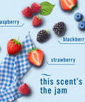 Febreze Plug In Air Freshener Odor-Fighting Scented Oil Refill Summer Berry Picking 2 Refill
