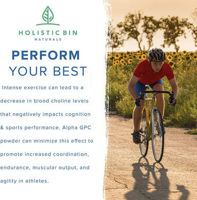 Holistic Bin AlphaSize GPC Powder | Bioavailable Choline Supplement | Alpha GPC Powder | Brain Support Supplement for Memory, Focus, & Physical Endurance Support