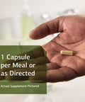 Standard Process Circuplex Whole Food Rna Supplement And Blood Circulation