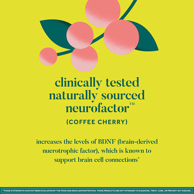 NEURIVA Brain Energy Supplement with Clinically Tested Neurofactor For Focus Concentration Vitamin B12 150mg of Caffeine For An Immediate Energy Boost 36ct Strawberry Lemonade Shots
