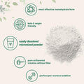 Micro Ingredients Creatine Monohydrate Powder 500 Grams (1.1 Lb) 5000mg Per Serv Micronized Creatine Powder Unflavored Pure No Filler Keto & Vegan Easy Dissolve Pre Workout Creatine for Women and Men
