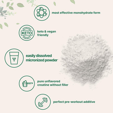 Micro Ingredients Creatine Monohydrate Powder 500 Grams (1.1 Lb) 5000mg Per Serv Micronized Creatine Powder Unflavored Pure No Filler Keto & Vegan Easy Dissolve Pre Workout Creatine for Women and Men