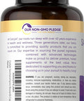 Carlyle Saccharomyces Boulardii Probiotics | 10 Billion CFUs | 200 Capsules | Value Size | Non-GMO Gluten Supplement