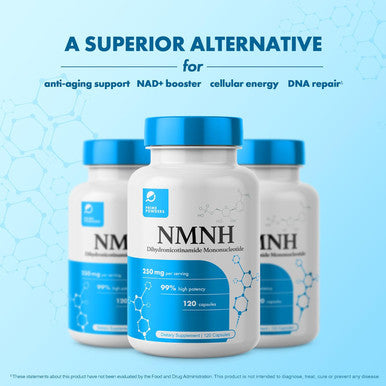 Nmnh: Dihydronicotinamide Mononucleotide (120 Capsules) Nad+ Support Nr Nad Supplement