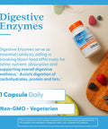 Doctor's Best Digestive Enzymes Supplement for Women & Men - Supports Gut Health, Digestion, & Overall Wellness, Formulated with Amylase, Super Enzyme Blend for Food Break Down Non GMO - 90 Veg Caps