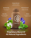 Terra Health Essentials Noofocus - Nootropics Brain Support Supplement With Adaptogenic Mushrooms, Alpha-Gpc, Gotu Kola, L-Theani