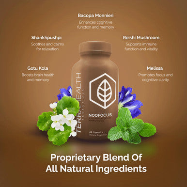 Terra Health Essentials Noofocus - Nootropics Brain Support Supplement With Adaptogenic Mushrooms, Alpha-Gpc, Gotu Kola, L-Theani