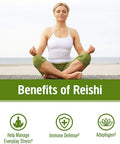 Om Reishi Mushroom 667mg 75 count