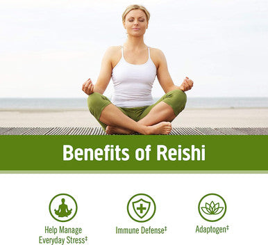 Om Reishi Mushroom 667mg 75 count