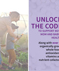 Garden of Life Vitamin Code Raw Prenatal 90 Vegetarian Capsules