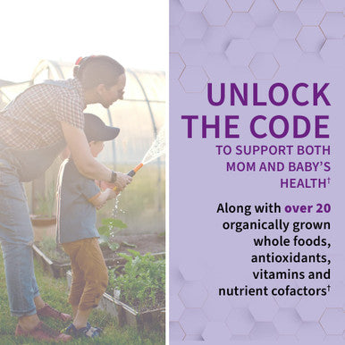 Garden of Life Vitamin Code Raw Prenatal 90 Vegetarian Capsules