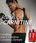 Isatori L-Carnitine Ls3 1500 Triple-Blend Liquid L Carnitine Supplement With Acetyl & Tartrate Stimulant Energy Low Calories Sugar Or Gluten Keto-Friendly Pink Lemonade (32 Servings)