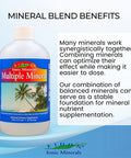 Eidon Multiple Minerals Supplement Minerals for Water Liquid Vitamins AllNatural Bioavailable Ionic Vegan Gluten No Additives or Preservatives 18 Ounce Bottle