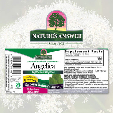 Nature'S Answer Angelica Root 1 Ounce - Organic Low Alcohol Female Wellness Support Gluten- Kosher - Made in USA - Liquid Extract