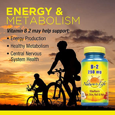 Natures Life Vitamin B-2 -- 250 Mg - 100 Tablets