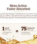 Solgar Full Spectrum Curcumin 105 Licaps Superior Absorption Brain Joint and Immune Health Vegan Gluten Free Non Gmo Dairy Free 105 Servings