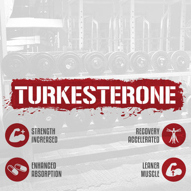 5% Nutrition Turkesterone 1200 mg + 200mg Ecdysterone | Max Purity & Absorption | Complexed with Astragin, Cyclodextrin & Naringin | 120 Capsules (1 Month Supply)