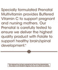 Nature S Way Prenatal Multivitamin With Folate 180 Capsules