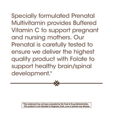 Nature S Way Prenatal Multivitamin With Folate 180 Capsules