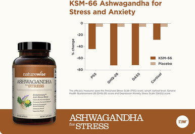 NatureWise Ashwagandha for Stress Adaptation Anxiety Relief Calming KSM66 Herbal Supplement Extract GABA LTheanine Rhodiola Rosea Light Brown 60 Count