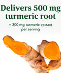 MegaFood Turmeric Curcumin Extra Strength - Joint Support Supplement - Turmeric Curcumin With Black Pepper & Boswellia Extract - Vegan - Made Without 9 Food Allergens - 60 Tabs (30 Servings)