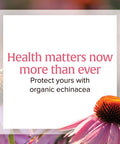 Natural Factors Echinamide Echinacea Supplement for Immune and Wellness Support 60 Softgels