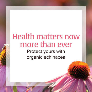 Natural Factors Echinamide Echinacea Supplement for Immune and Wellness Support 60 Softgels