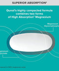 Qunol Magnesium Glycinate Complex Gentle on Stomach 250mg One Pill Dose Superior-Absorption Magnesium Nerve Bone and Muscle Health Supplement 60 Count