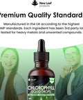Liquid Chlorophyll - Chlorophyll Drops For Water 100Ml For 100 Servings - High Strength 100Mg Chlorophyll Liquid Drink - Made In Uk By Leaf Products