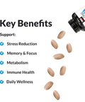 Force Factor Amazing Ashwa For Stress Relief, Memory, Focus, And Immune Support Health, Ashwagandha Supplement With Ksm-66 Ashwagandha For Stress, Vitamins, Minerals, And Antioxidants, 120 Tablets