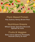 Amazing Grass Organic Plant Protein Blend: Vegan Protein Powder, New Protein Superfood Formula, All-In-One Nutrition Shake with Beet Root, Rich Chocolate, 18 Servings
