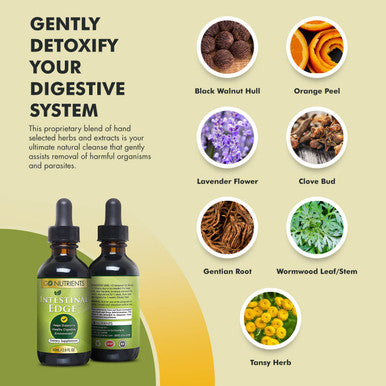 Go Nutrients Intestinal Edge Gut Detox Cleanse For Humans: Enhance Digestive Health, Boost Energy, Clear Skin With Black Walnut
